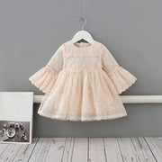 Princess Flare Lace Dress