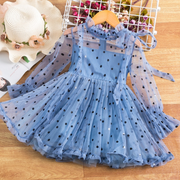 Long Sleeve Dotted Mesh Dress