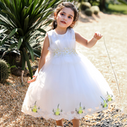 Embroidery Lace and Floral Appliques Princess Party Dress