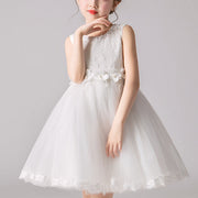 Classic Floral Lace Bowknot Party Dress