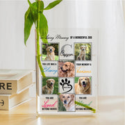 Memorial photo collage for a dog with text and images of a golden retriever on a white background.
