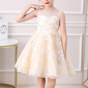 Floral Pattern Embroidered Lace Princess Party Dress
